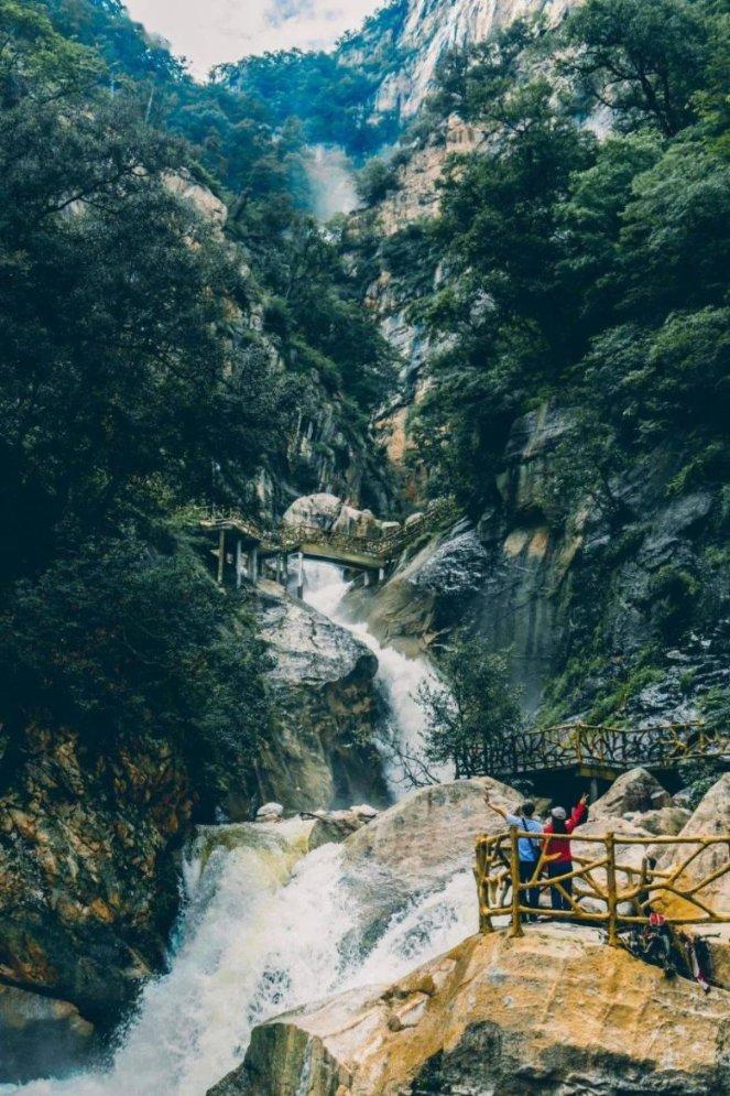 御龙在天